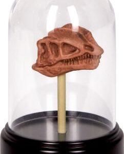 Dilophosaurus, Ausgrabungsset Dinosaurier-Schädel - T-Rex World