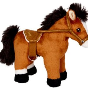 Pferd Jimmy - Pferdefreunde