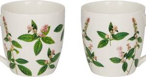 Porzellan-Tasse "Kräuter" (Sammlung Augustina)