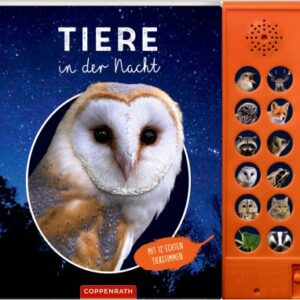 Tiere in der Nacht (Soundbuch)