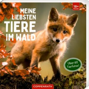 Meine liebsten Tiere im Wald
